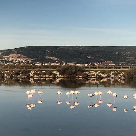 Flamants Roses 1 Pers 6 Frontignan Luaran gambar