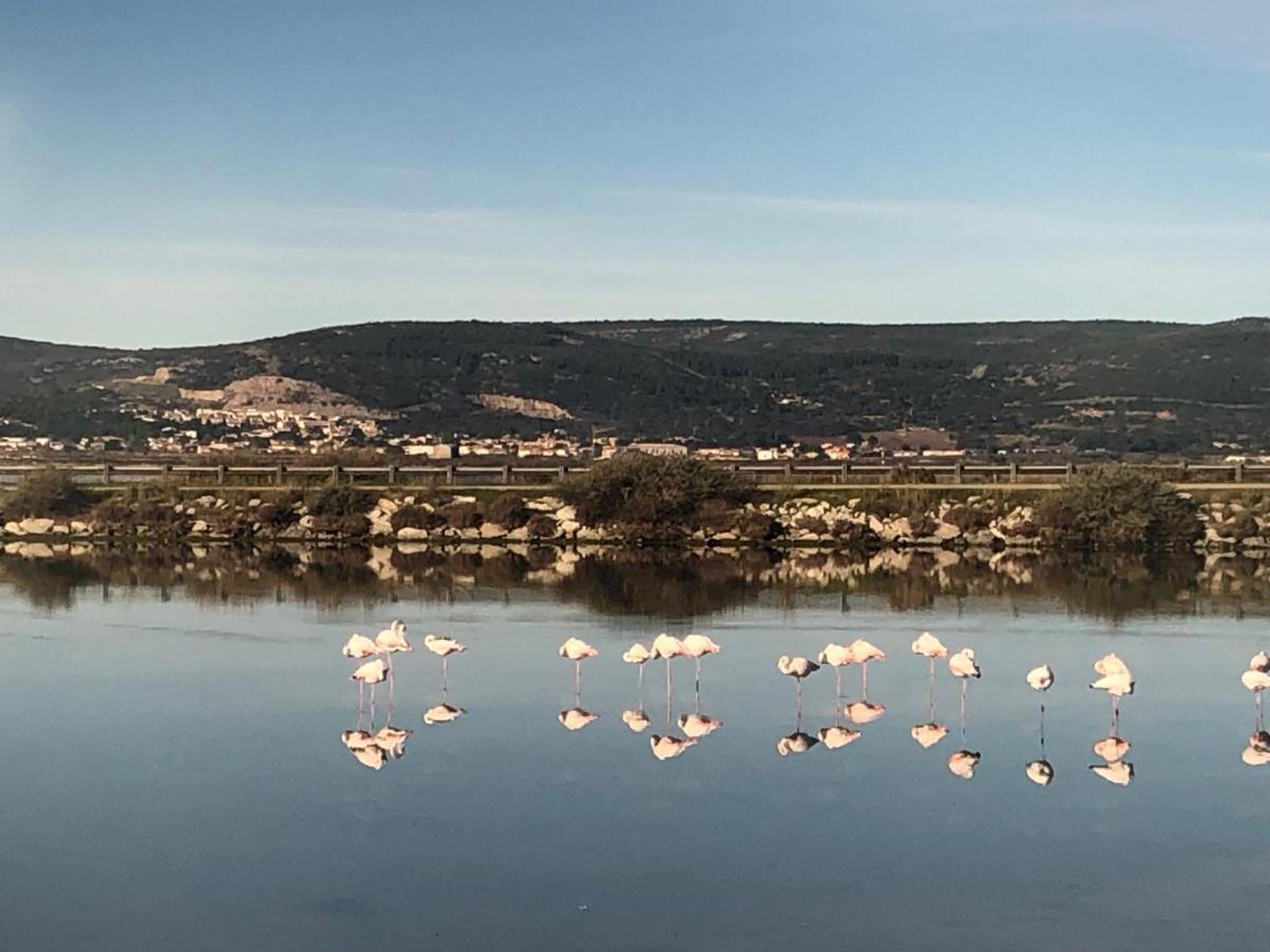 Flamants Roses 1 Pers 6 Frontignan Luaran gambar